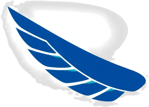 Generic Airline