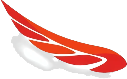 Generic Airline
