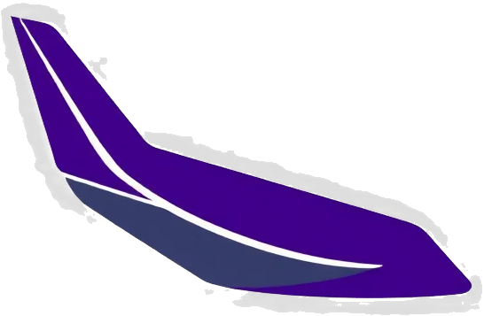 Generic Airline